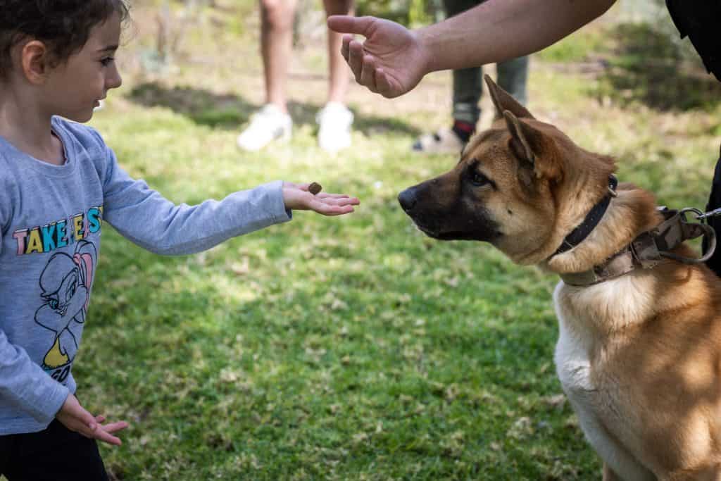 Mädchen und Hund bei Hundetherapie