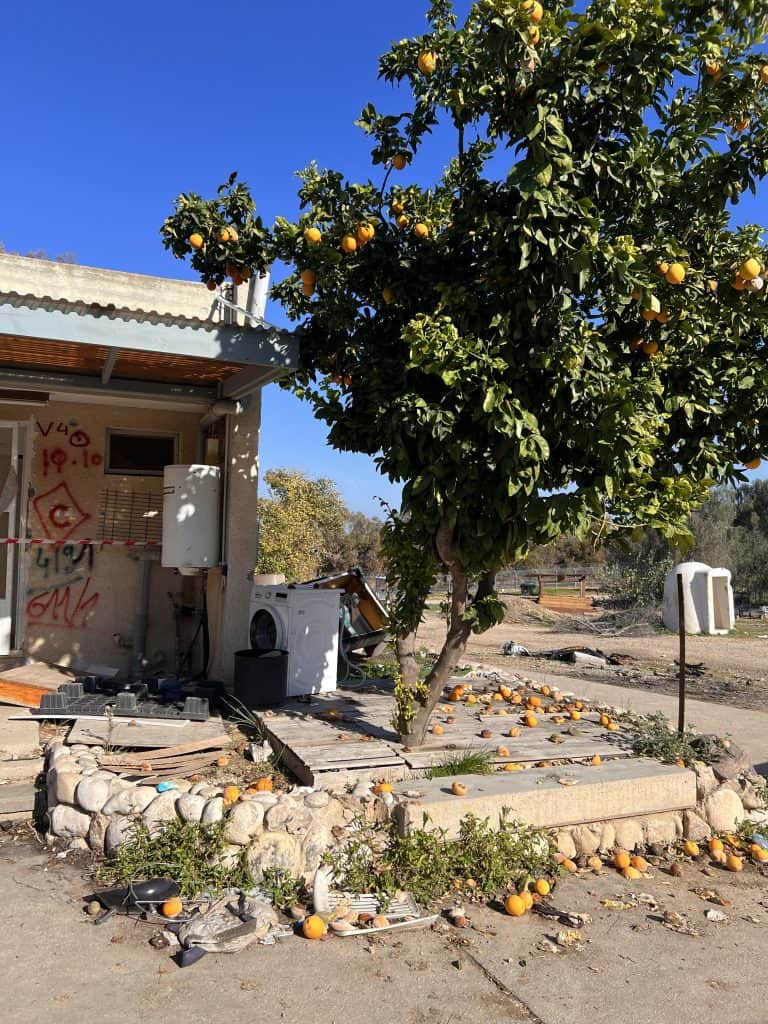 ein Orangenbaum in Kfar aza